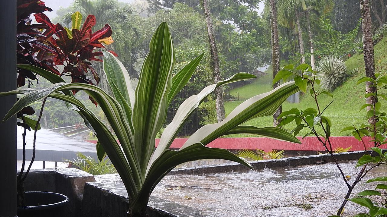 Monique'S Guest House Maraval Exteriör bild